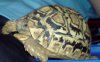 DSC00128.jpg