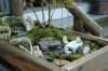 a1.bp.blogspot.com__h5Yo4DFnSCA_TVUtIsTPXUI_AAAAAAAAC8I_emiQ9ogRugM_s320_Garden_pictures.jpg