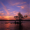 aupload.wikimedia.org_wikipedia_commons_c_ce_Rivertree_thirds_md.gif