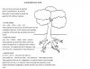 Comprehension skills tree.jpg