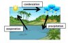 Mnemonics Water Cycle.jpg