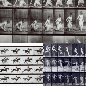 Eadweard Muybridge
