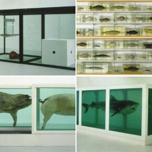 Damien Hirst