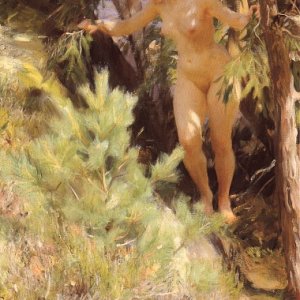 Nude Under a Fir