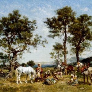 Setting Up A Camp