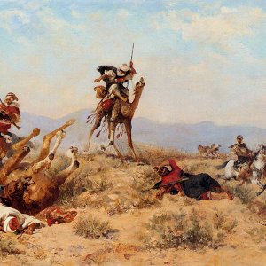 The Skirmish