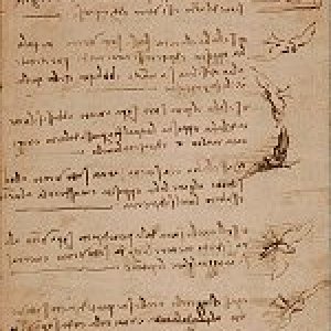 Codex on the Flight of Birds