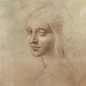 Study of an angel