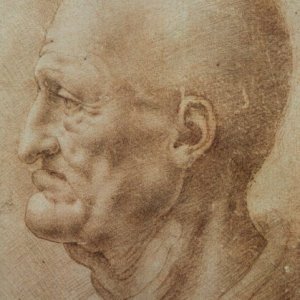 Study of an old man