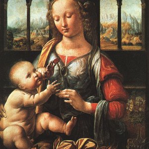 The Madonna of the Carnation