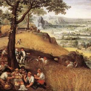 Landscape In Summer