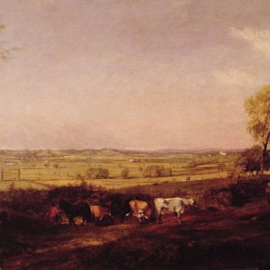 Dedham Vale Morning