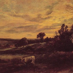 Evening Landscape