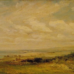 Shoreham Bay