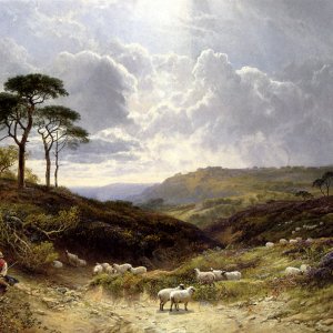 Near Liss, Hampshire