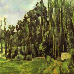 Poplar Trees
