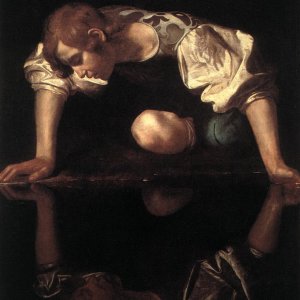 Narcissus