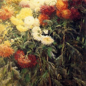 Chrysanthemums Garden at Petit Gennevilliers