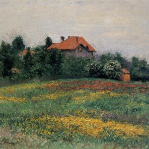 Landscape