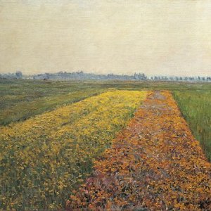 The Yellow Fields at Gennevilliers
