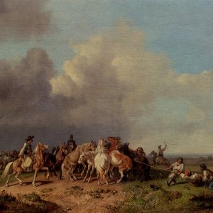 The Horse Round Up