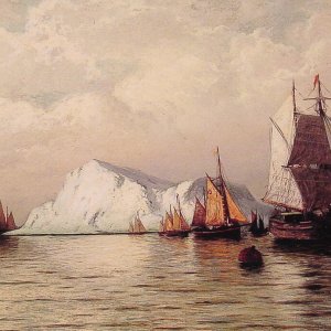 Artic Caravan