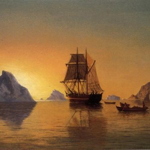An Arctic Scene