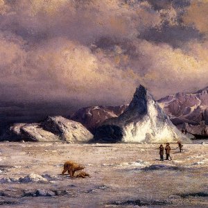 Arctic Invaders