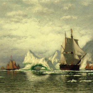 Arctic Whaler Homeward Bound Among the Icebergs