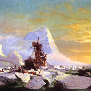 Crushed in the Ice