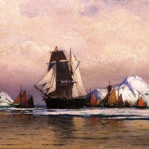 Fishing Fleet off Labrador