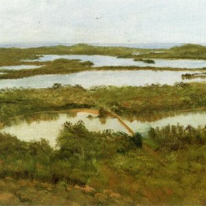 A River Estuary