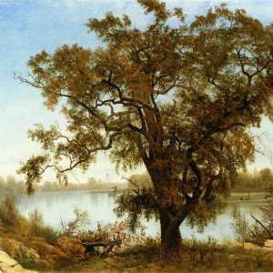 A View from Sacramento
