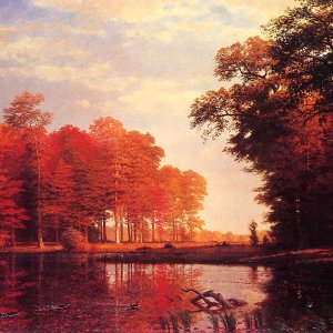 Autumn Woods