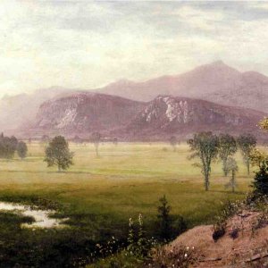 Conway Meadows, New Hampshire