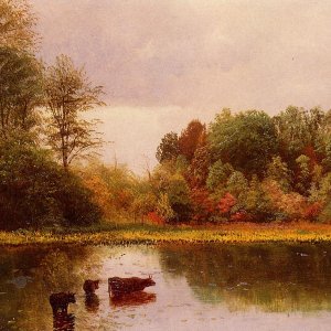 Cows Watering in a Landscape