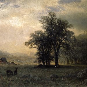 Deer in a Landscape