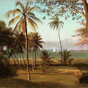 Florida Scene