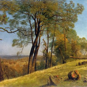 Landscape, Rockland County - California