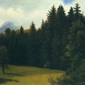 Mountain Resort