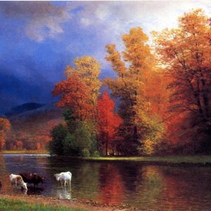 On the Saco