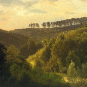 Sunrise over Forest and Grove