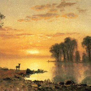 Sunset, Deer and River