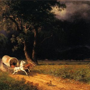 The Ambush