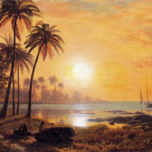 Tropical Landscape with Fishing Boats in Bay
