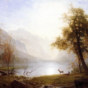Valley in Kings Canyon