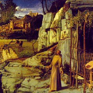 St. Francis in the desert