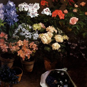 Study Of Flowers