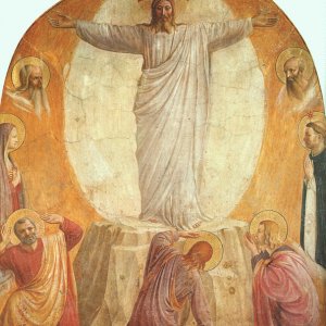Transfiguration