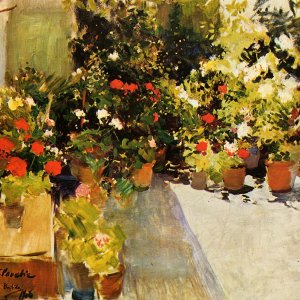A Rooftop with Flowers